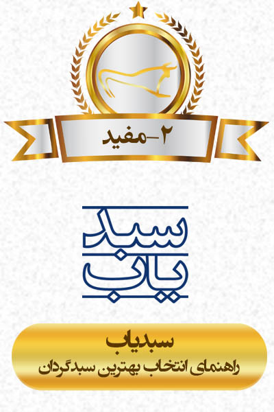 شرکت سبدگردان انتخاب مفید