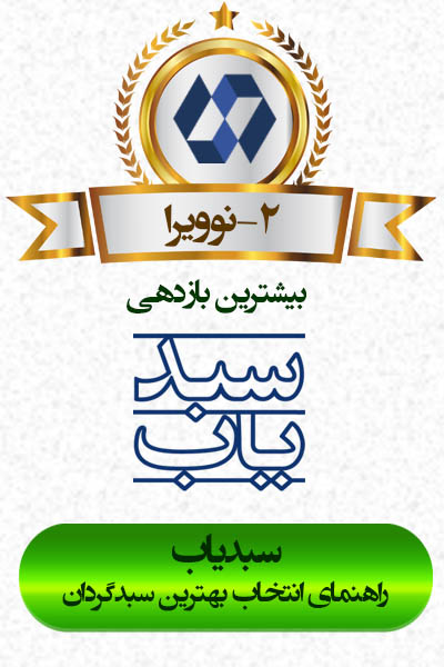 شرکت سبد گردان نو ویرا
