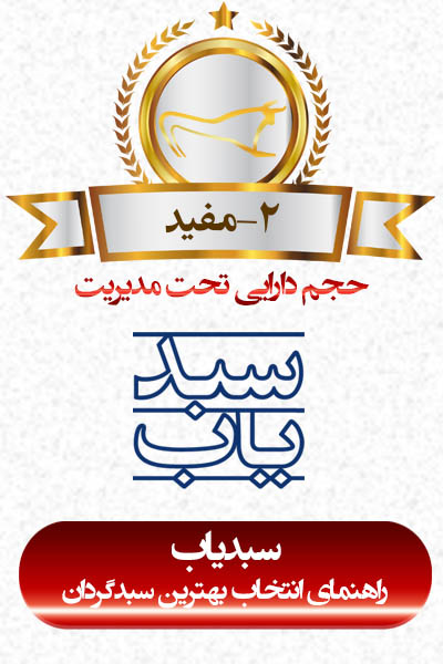 شرکت سبدگردان انتخاب مفید