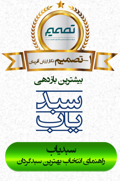 شرکت سبدگردان تصمیم نگار ارزش آفرینان