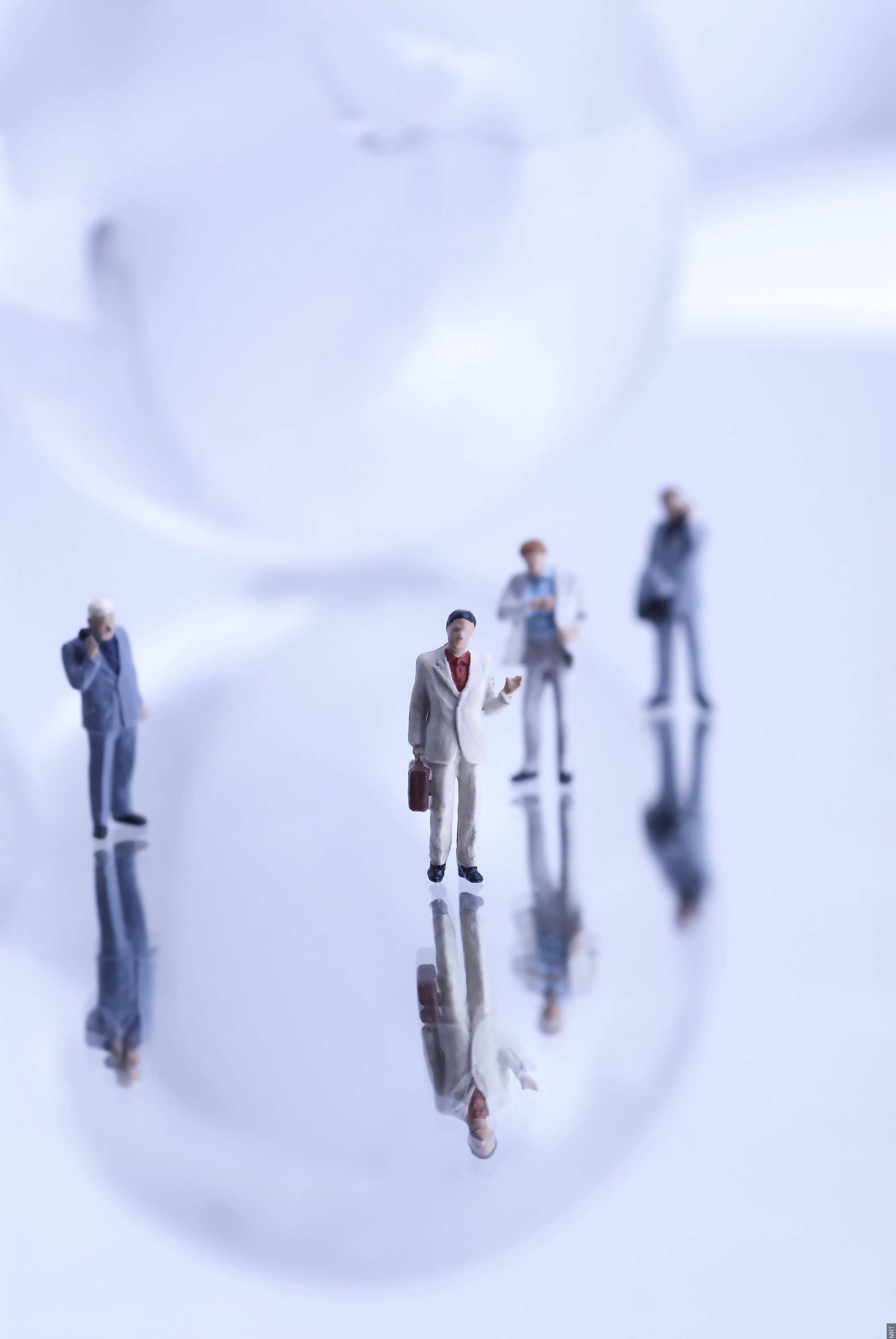 فرم تقاضای صدور موافقت اصولی سبدگردان